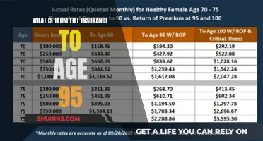 Understanding Term Life Insurance: Coverage to Age 95 Explained