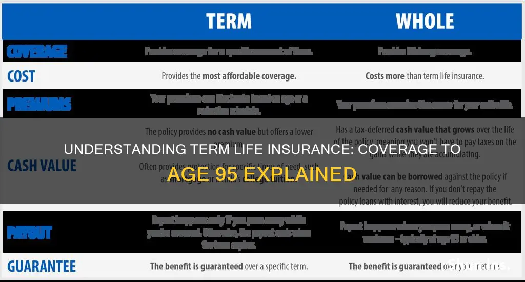 what is term life insurance to age 95