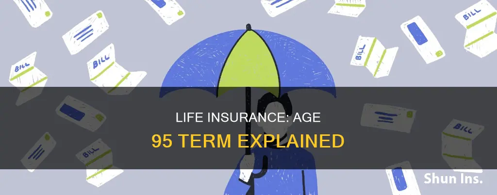 what is term life insurance to age 95