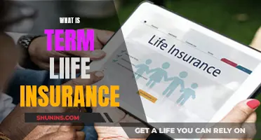 Understanding Term Life Insurance: A Guide to This Crucial Coverage