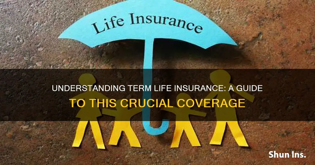 what is term liife insurance