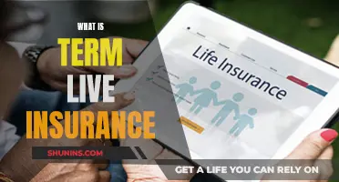 Understanding the Basics of Term Life Insurance: A Guide to Temporary Coverage