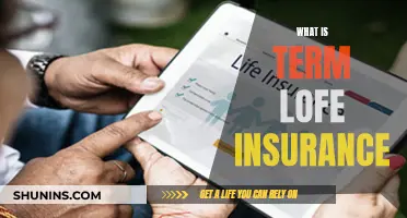 Understanding Term Life Insurance: A Guide to This Essential Coverage