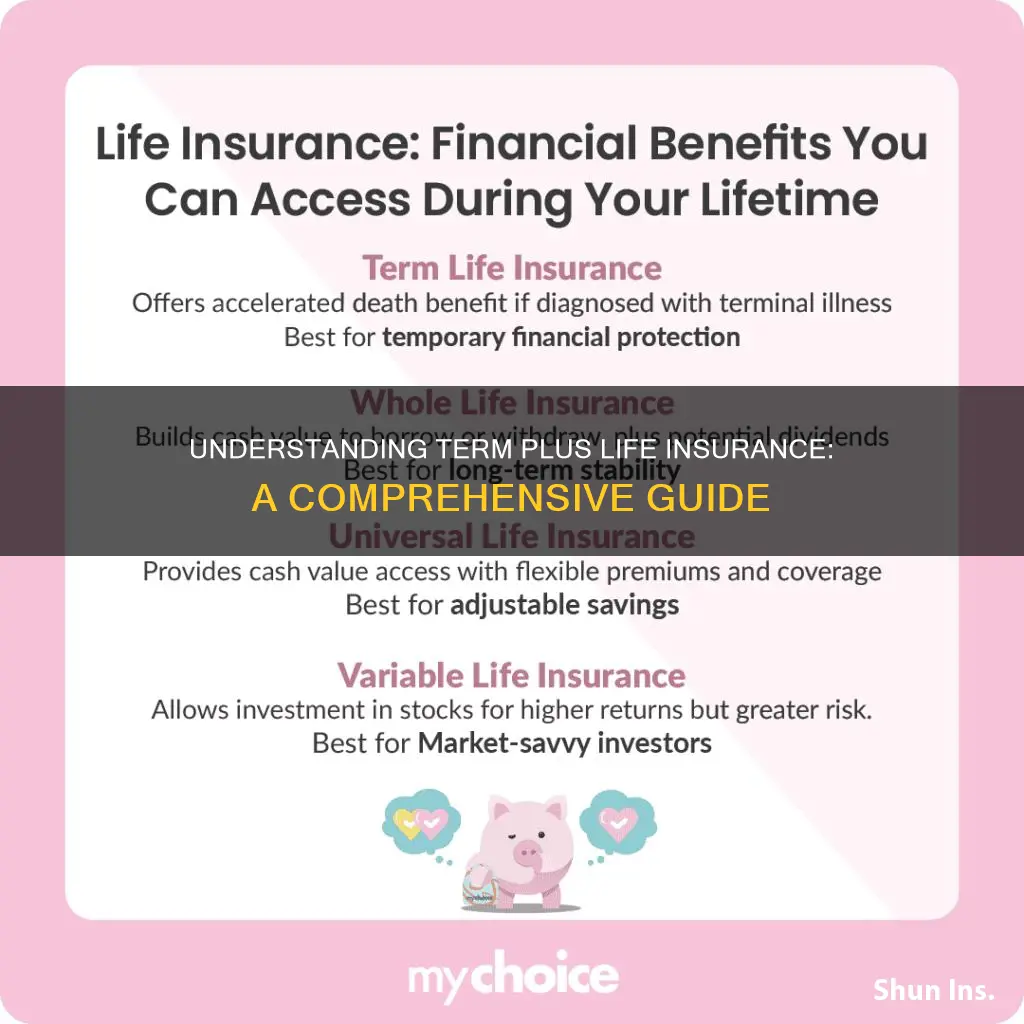 what is term plus life insurance