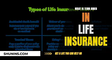 Term Rider: Life Insurance's Essential Add-On