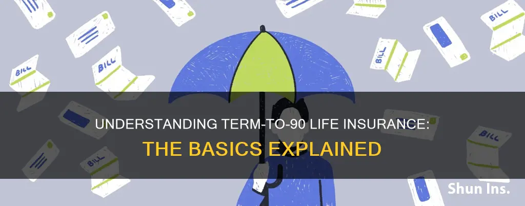 what is term to 90 life insurance