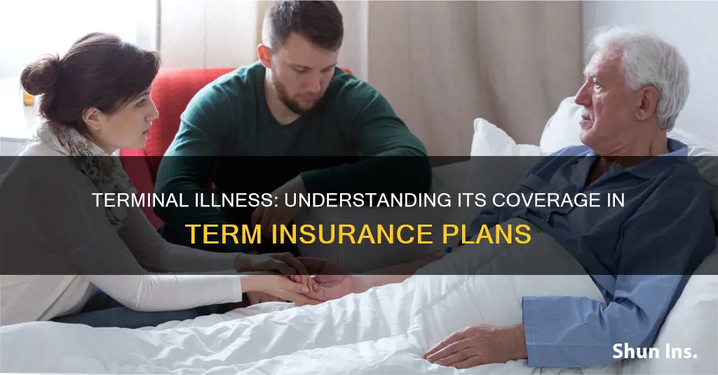 what is terminal illness in term insurance