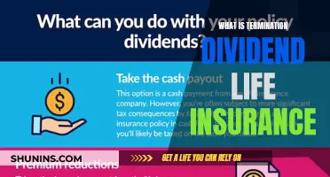 Understanding Termination Dividend Life Insurance: A Comprehensive Guide