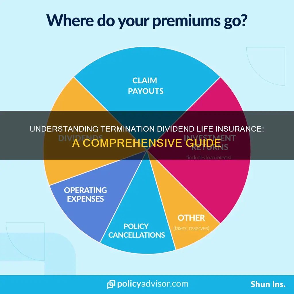 what is termination dividend life insurance