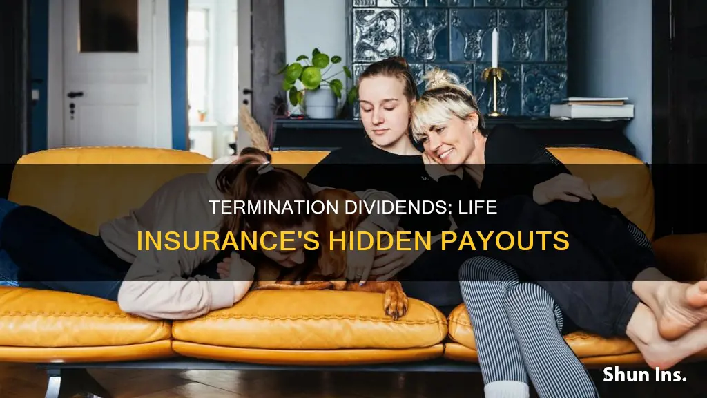 what is termination dividend life insurance