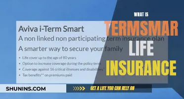 TermSmart Life Insurance: Understanding the Basics and Benefits