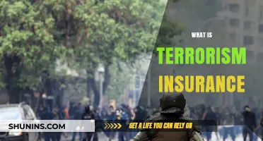 Understanding Terrorism Insurance: Coverage, Benefits, and Why It Matters