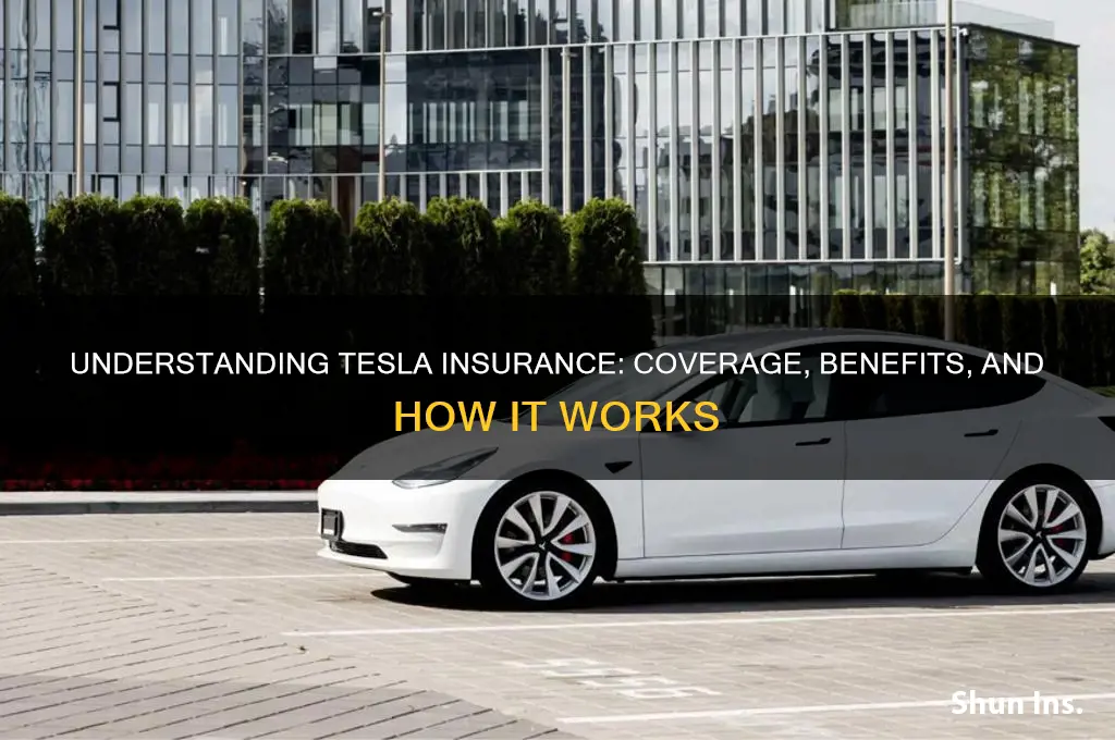 what is tesla insurance