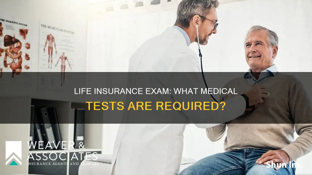 what is tested for in a life insurance exam