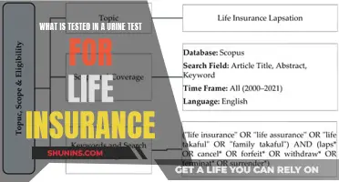 Unveiling the Secrets: What Urine Tests Reveal for Life Insurance