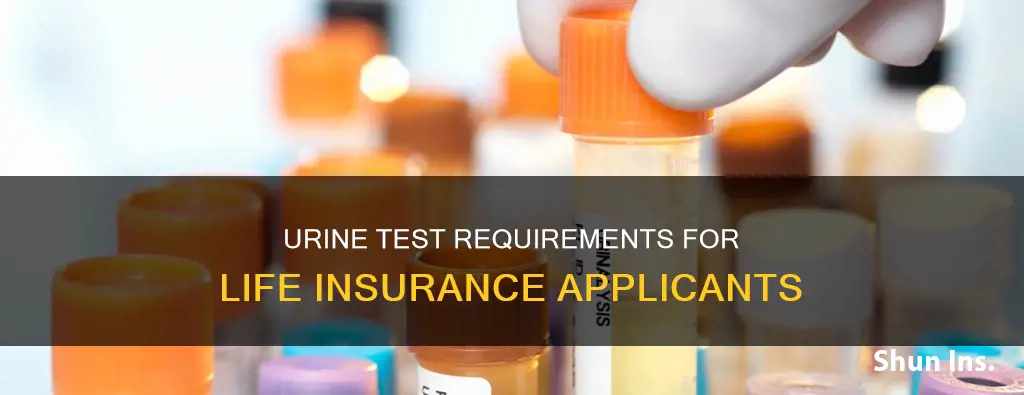 what is tested in a urine test for life insurance