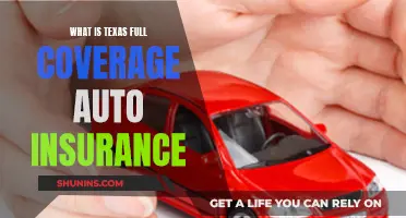 Texas Full Coverage Auto Insurance: What You Need to Know