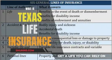 Texas Life Insurance: A Comprehensive Guide to Coverage