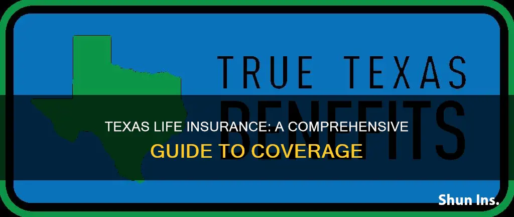 what is texas life insurance