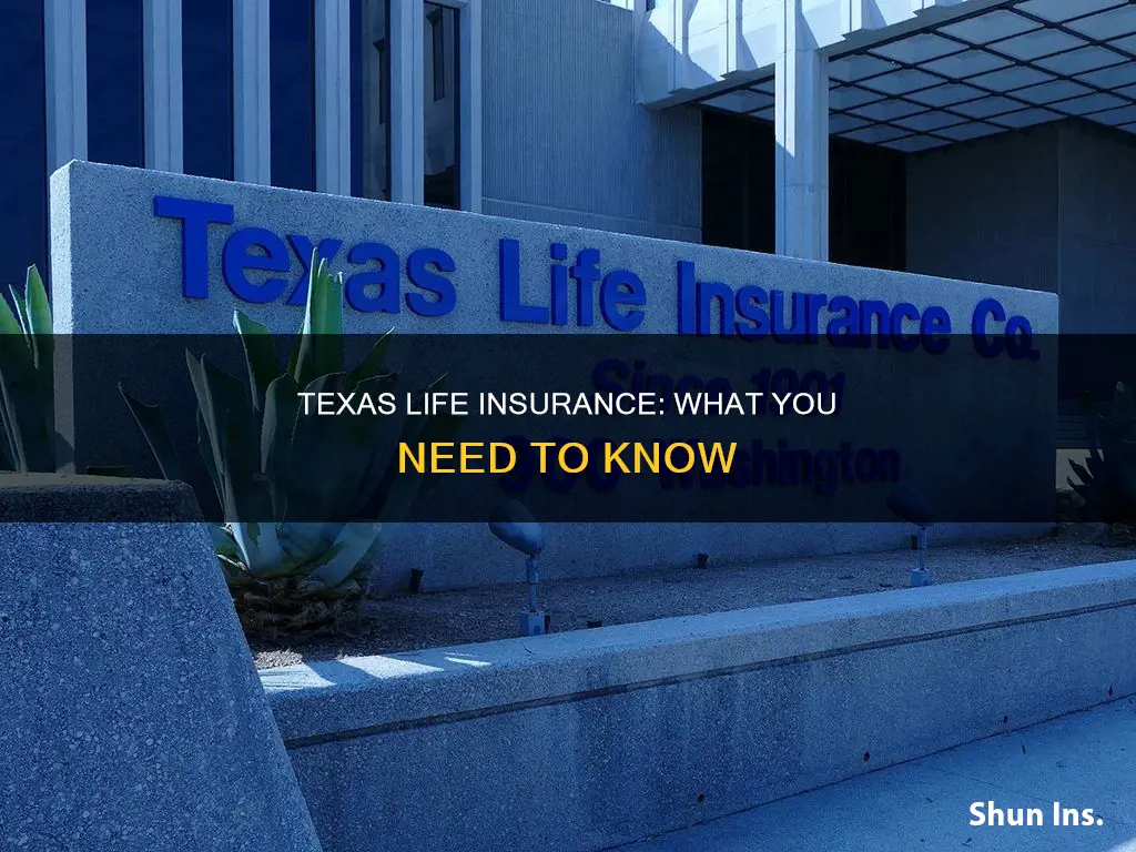 what is texas life insurance