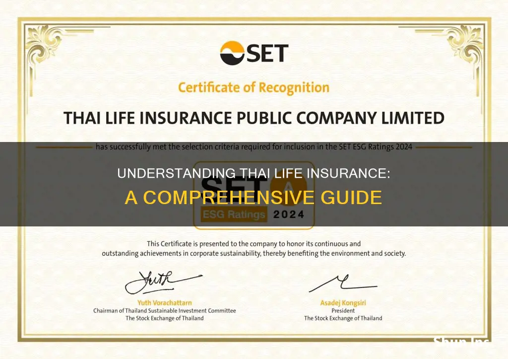 what is thai life insurance