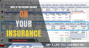 Understanding Your Insurance Account Balance
