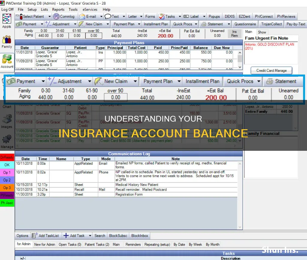 what is the account balance on your insurance