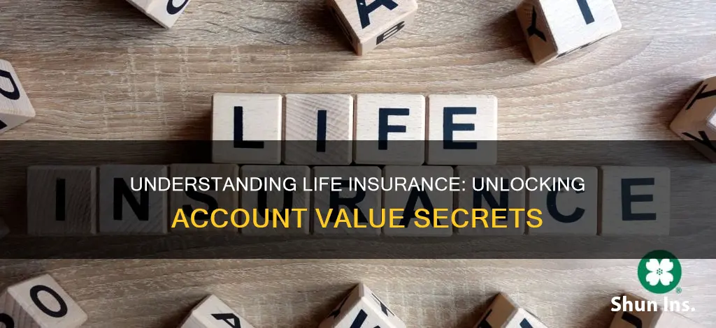 what is the account value on life insurance