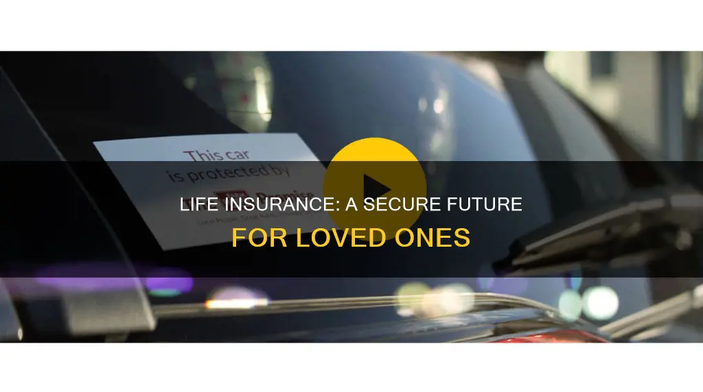what is the advantage of life insurance