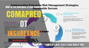 Risk Transfer: A Cost-Effective Alternative to Insurance