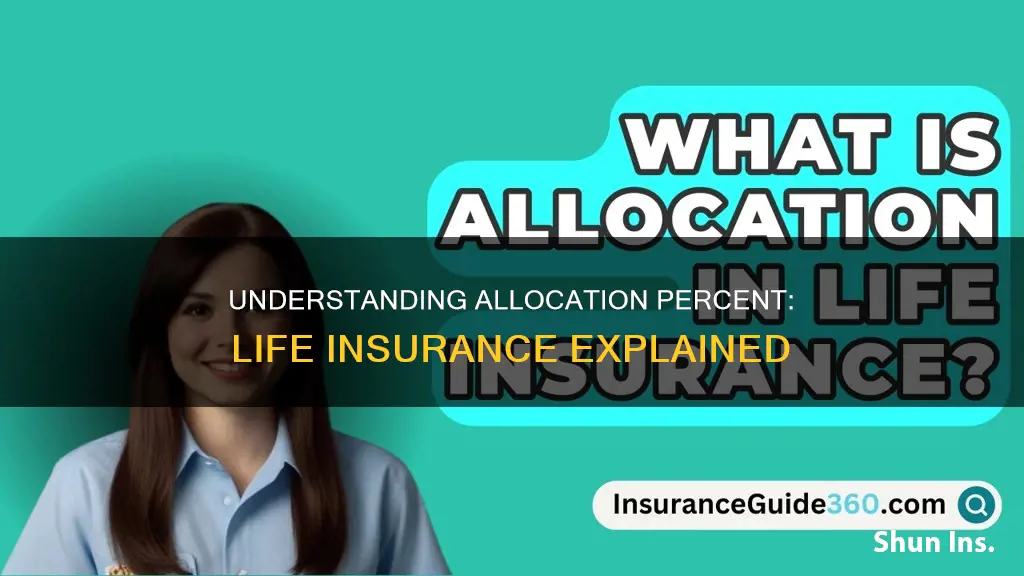 what is the allocation percent life insurance