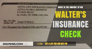 Walter's Insurance Check: A Large Sum