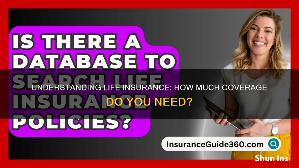 what is the amount of life insurance