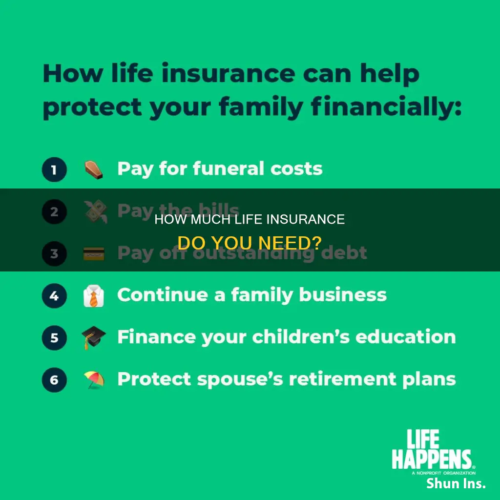 what is the amount of life insurance