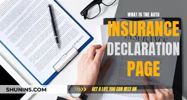 Understanding Your Auto Insurance Declaration Page