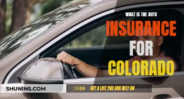 Colorado Auto Insurance: What You Need to Know