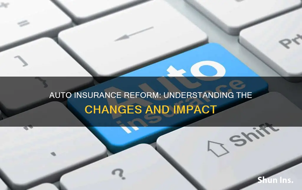 what is the auto insurance reform