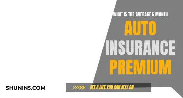 How Much Does Six-Month Auto Insurance Cost?