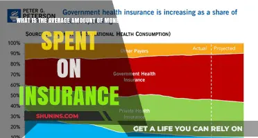 How Much Does Insurance Cost on Average?