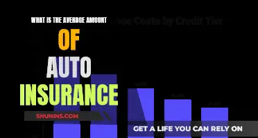 Auto Insurance: Understanding the Average Cost and Coverage