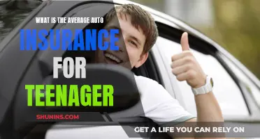 Auto Insurance for Teenagers: Understanding the Average Costs