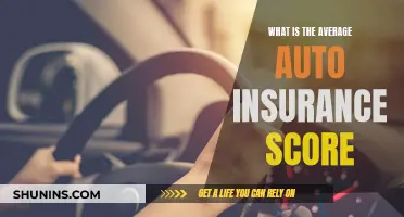 Understanding Auto Insurance Scores: The Average Consumer's Guide