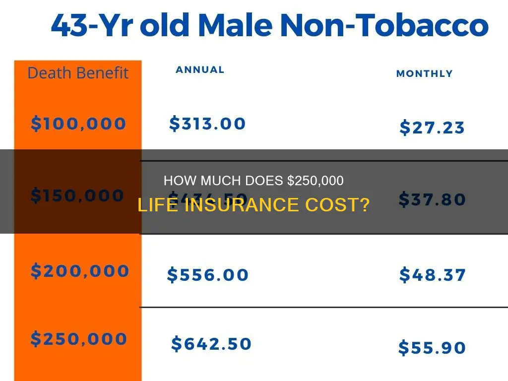 what is the average for 250 life insurance