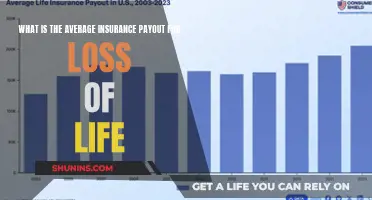 Average Insurance Payout: A Comprehensive Guide to Life Loss Compensation