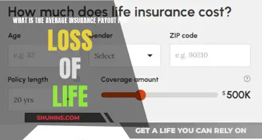 How Much is Life Worth? Insurance Payout Averages Explained