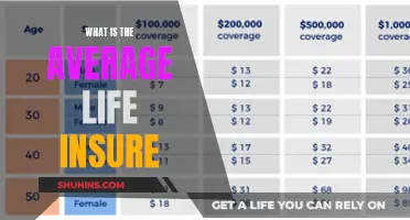 Understanding Average Life Insurance: A Comprehensive Guide