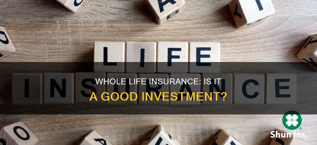 what is the average return on whole life insurance