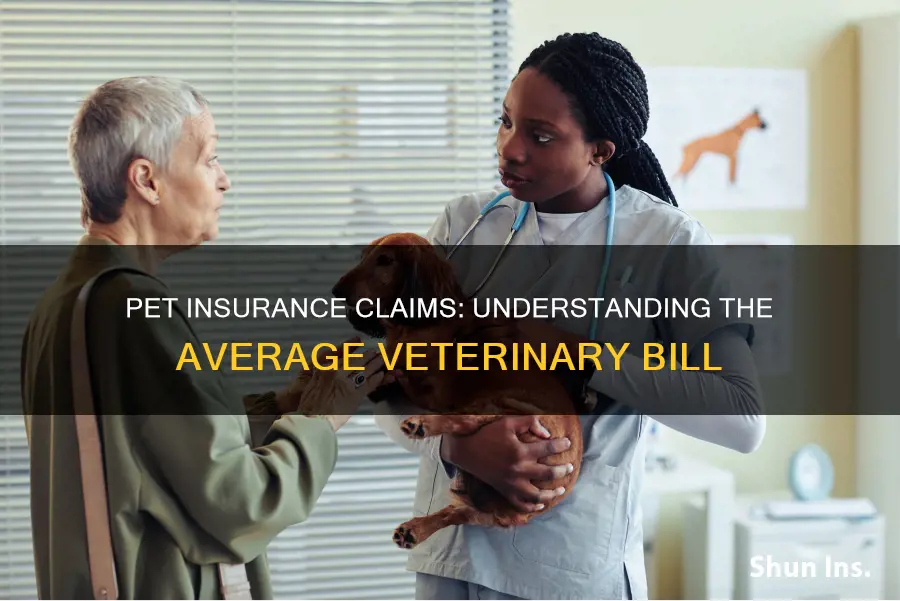 what is the average veterinary bill for insurance