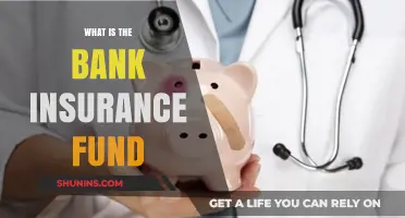 Understanding the Bank Insurance Fund: Protecting Your Money