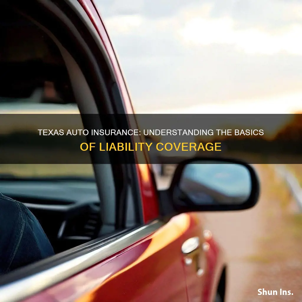 what is the base libality auto insurance for texas